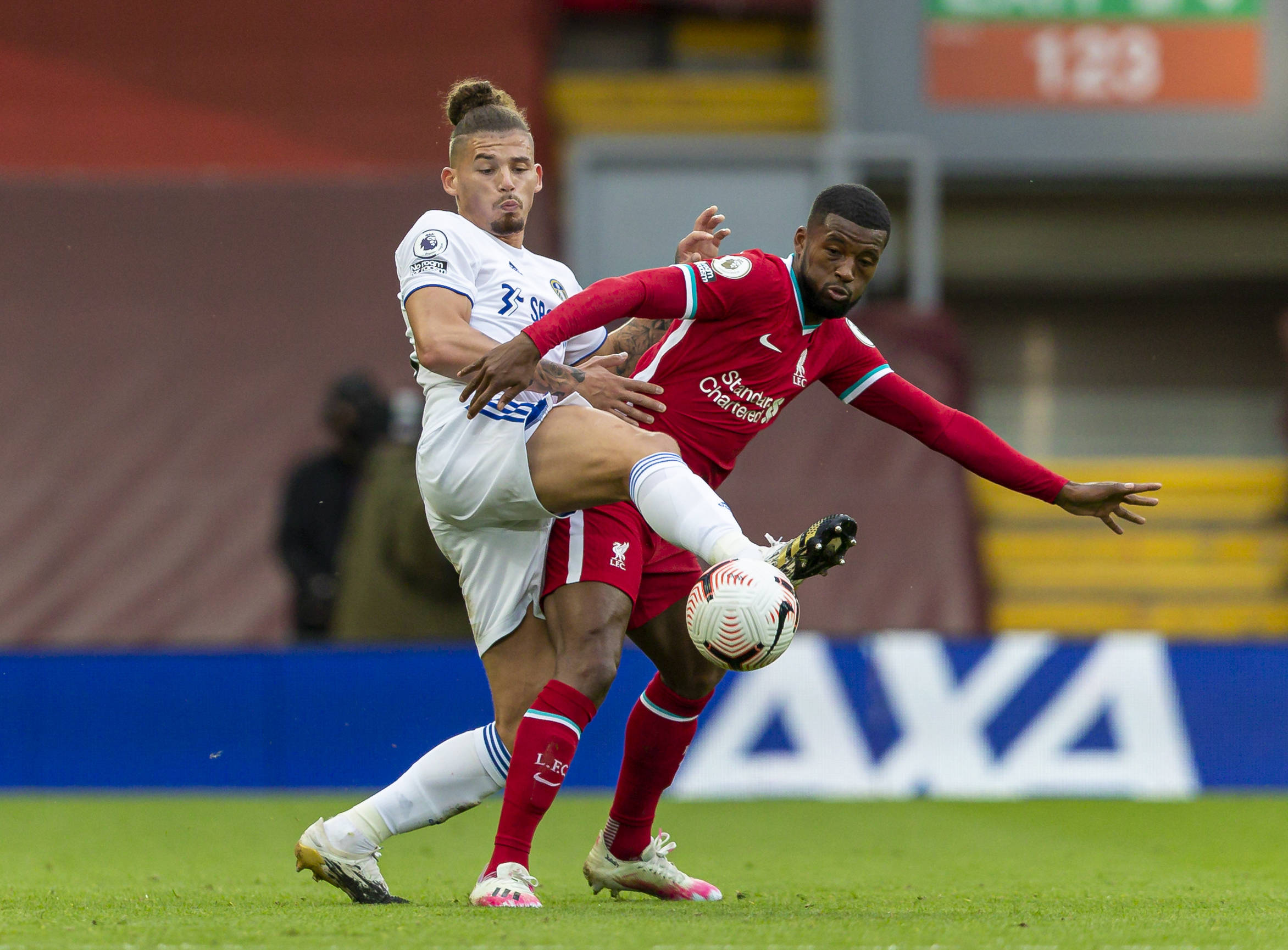 会费还是使 会费还是使